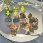 PHOTO of Chef Mao Sugiyama genitals on dinner plate
