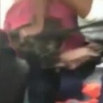 Girl Bully on Bus Gets A Lesson