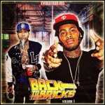 tyga & waka flocka - back to the bricks mixtape cover